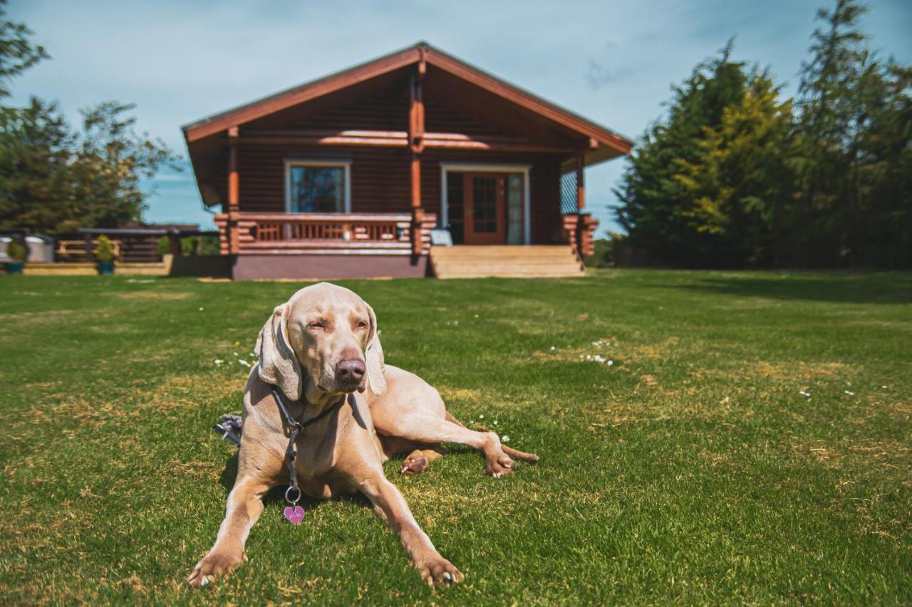 Tomatin - Luxury Two Bedroom Log Cabin With Hot Tub バーウィック・アポン・ツイード エクステリア 写真